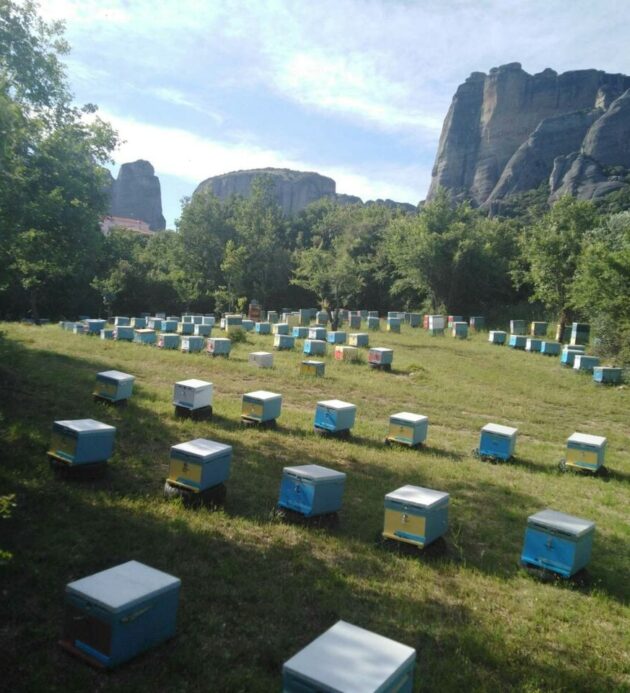 εικόνα_Viber_2020-02-12_21-30-30 εικόνα_Viber_2020-02-12_21-30-30